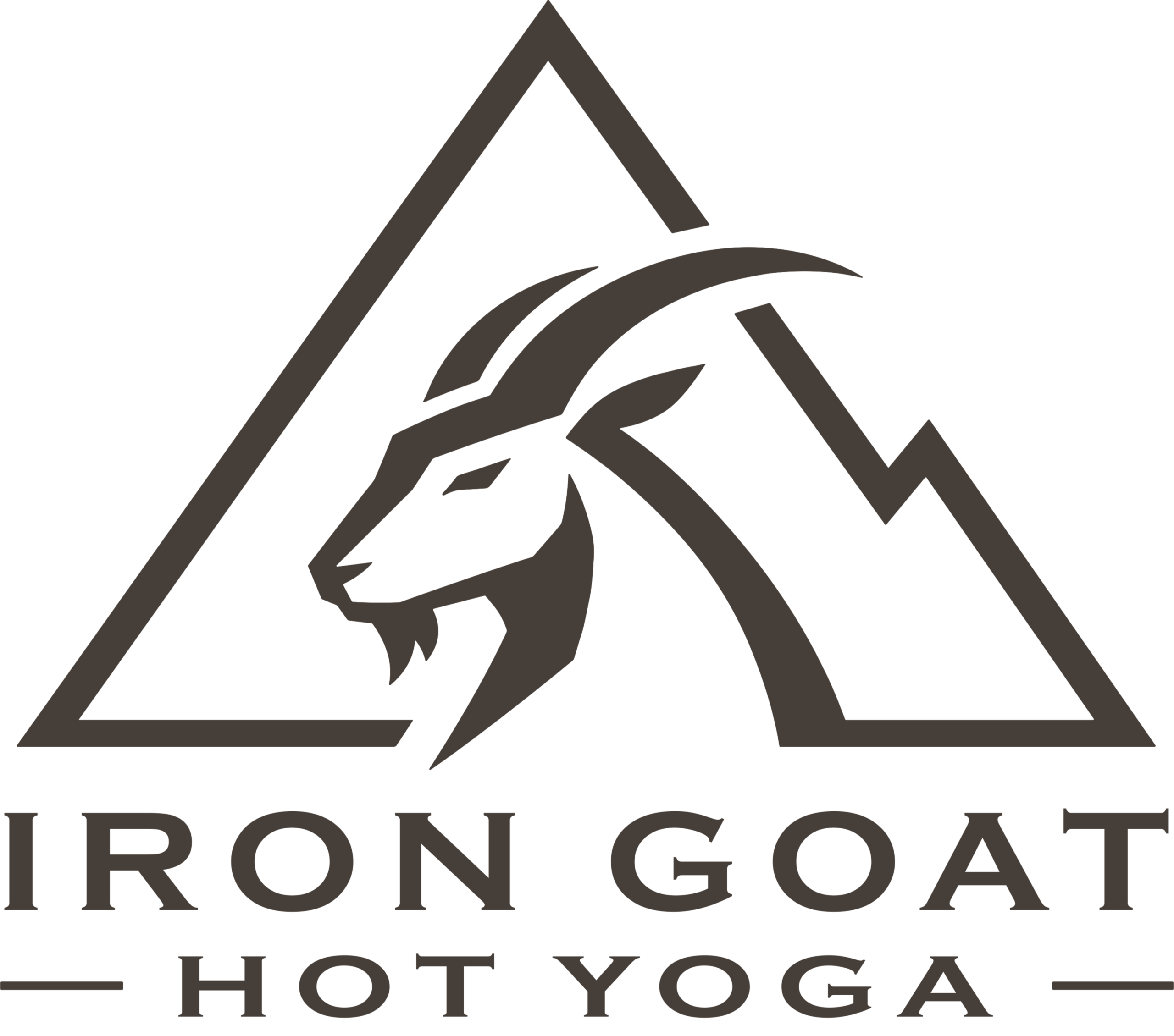 IGHY Logo